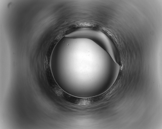 X0000094380335200711021230