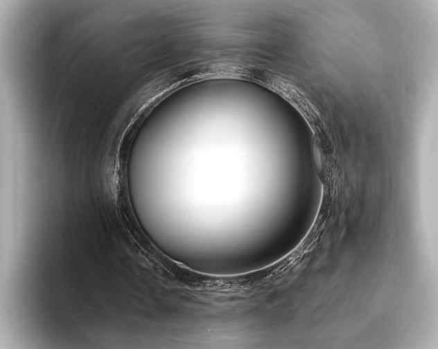 X0000094380338200711021230