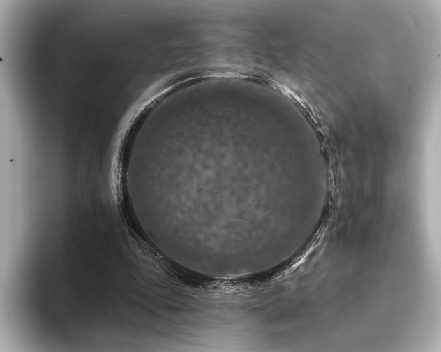 X0000094380343200711021230