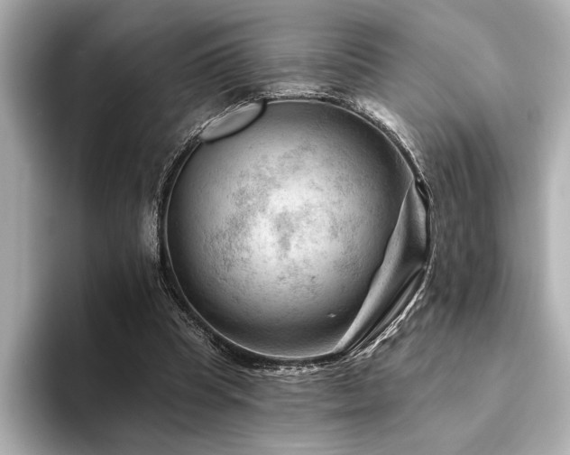 X0000094380345200711021230