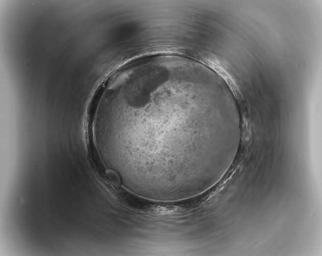 X0000094380346200711021230