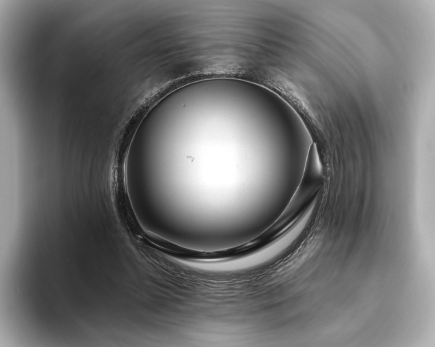 X0000094380348200711021230