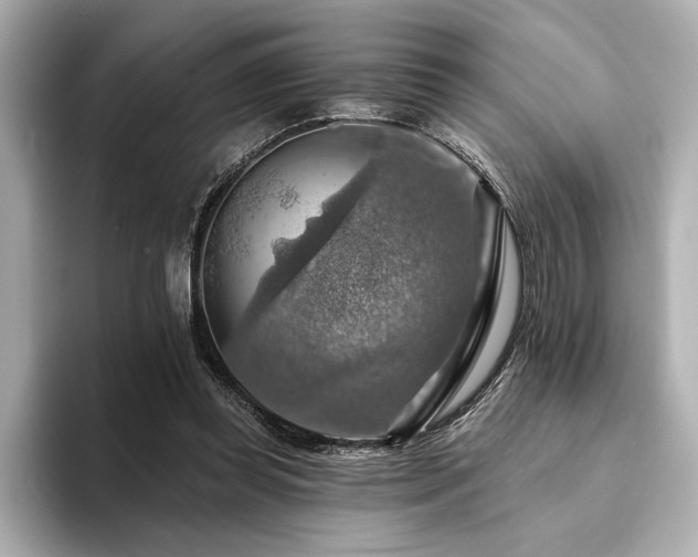 X0000094380349200711021230