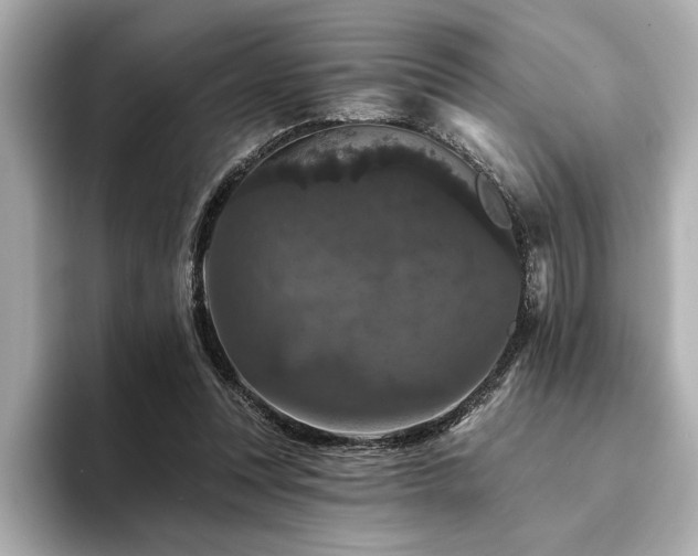 X0000094380351200711021230