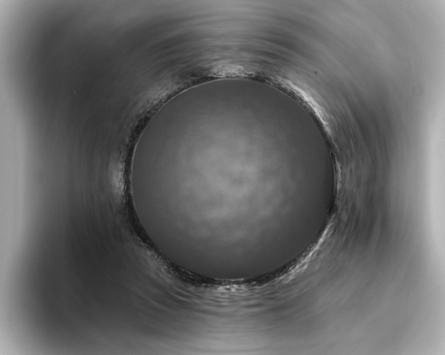 X0000094380353200711021230