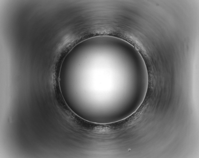 X0000094380354200711021230