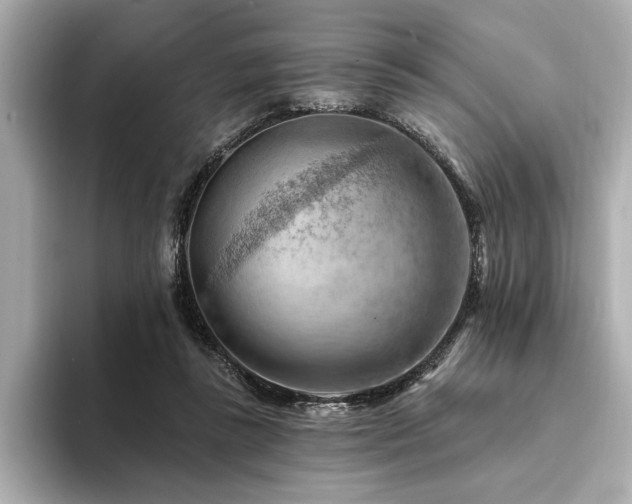 X0000094380355200711021230