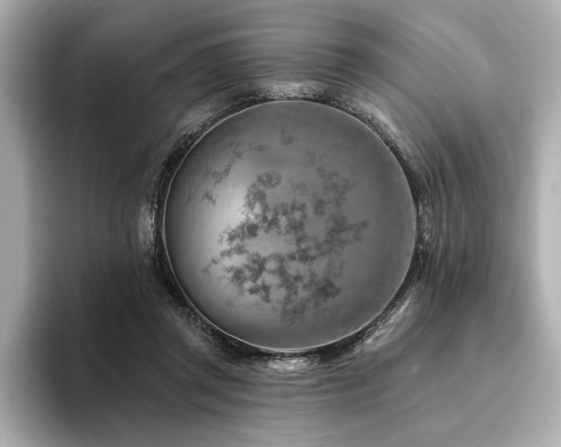 X0000094380357200711021230