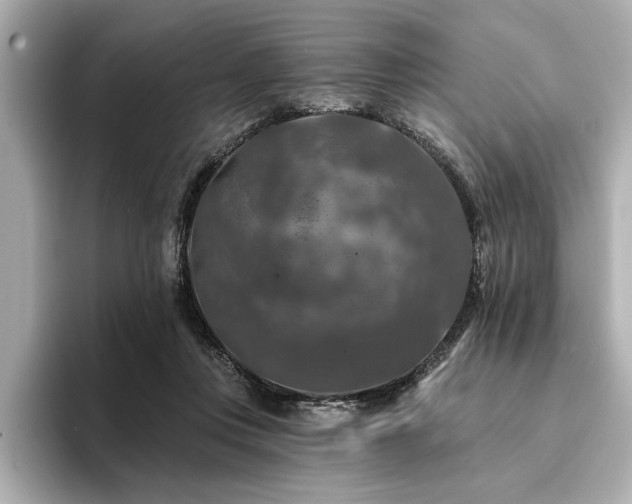 X0000094380359200711021230
