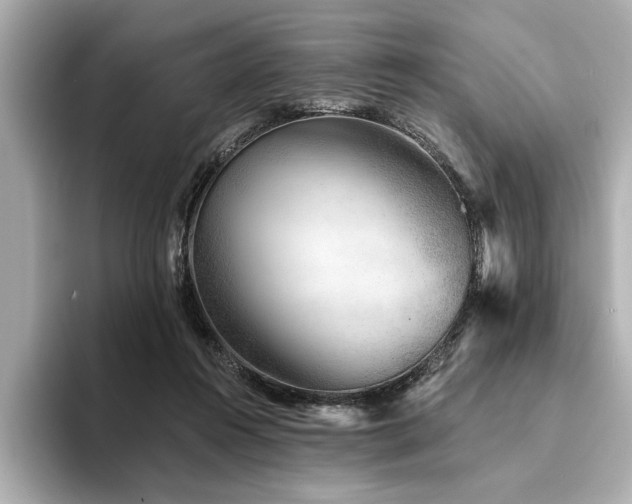 X0000094380360200711021230