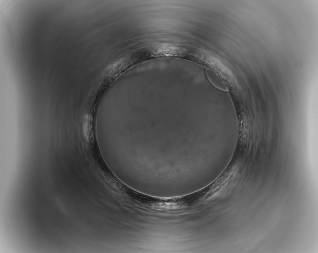 X0000094380361200711021230
