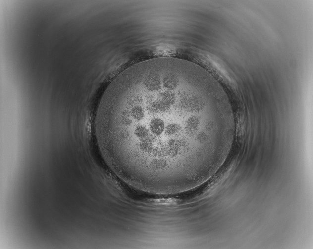 X0000094380363200711021230