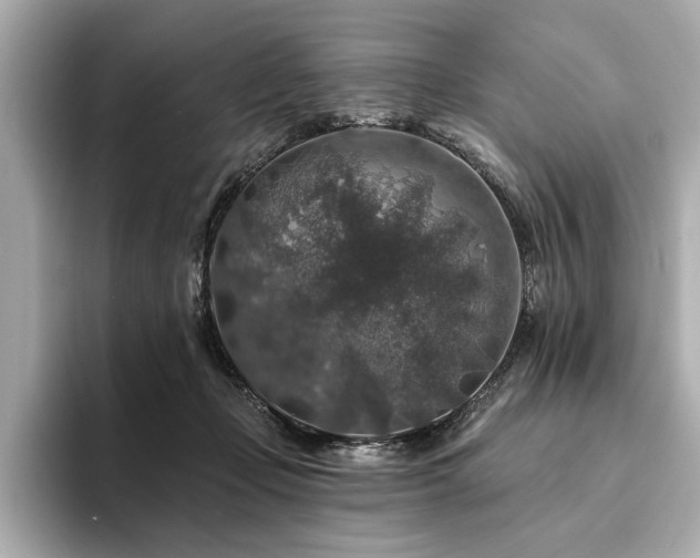 X0000094380365200711021230