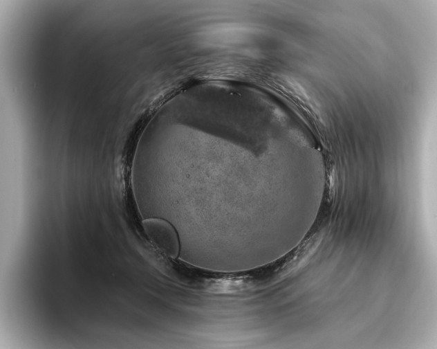 X0000094380366200711021230