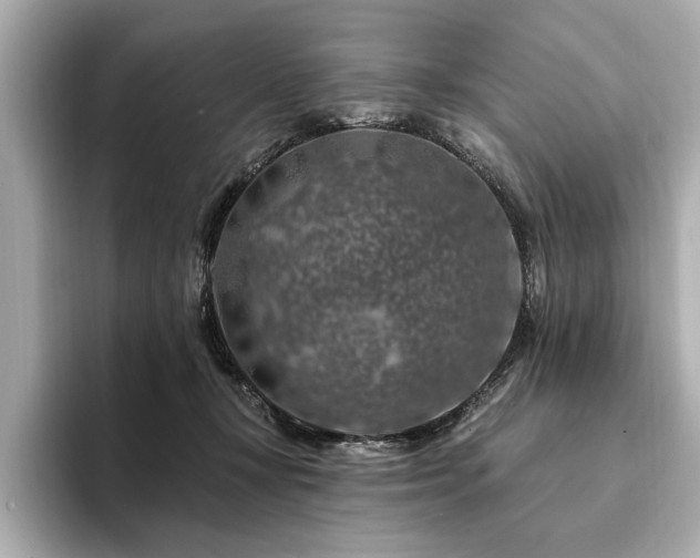 X0000094380367200711021230