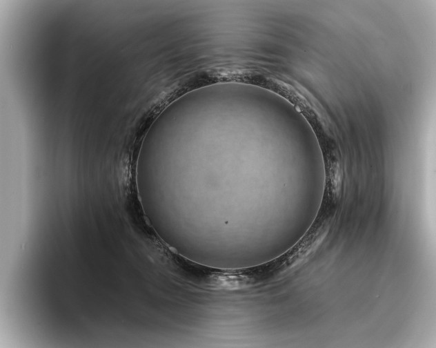X0000094380372200711021230