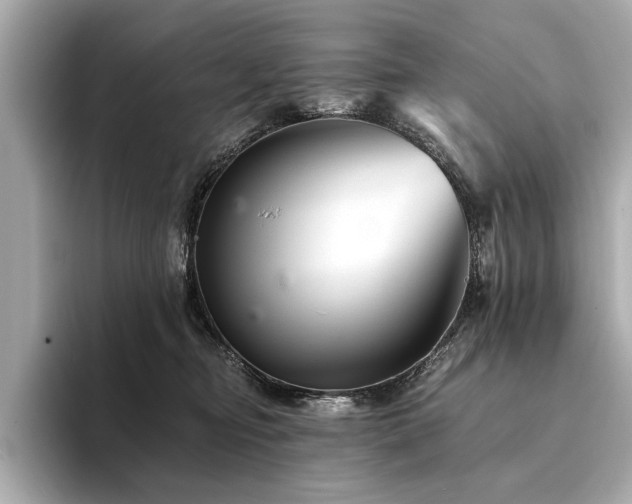 X0000094380374200711021230