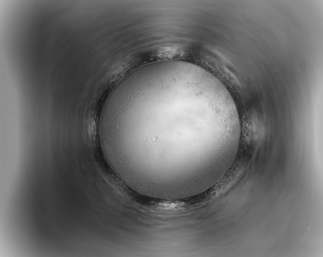 X0000094380375200711021230