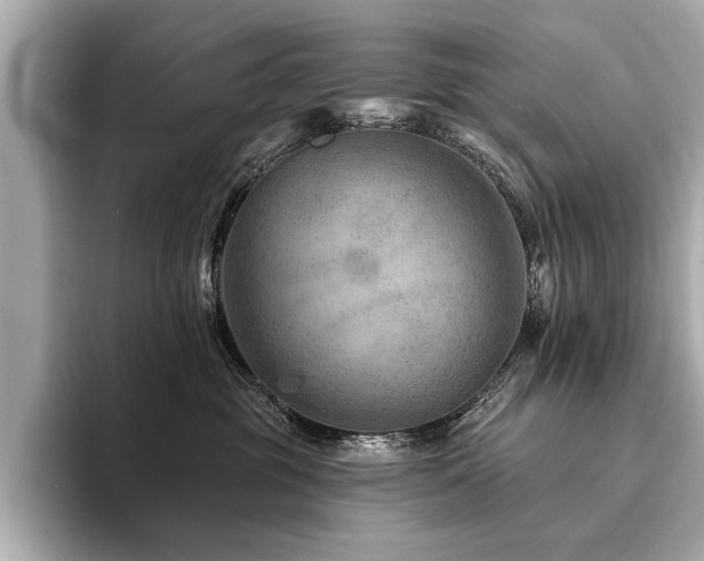 X0000094380381200711021230
