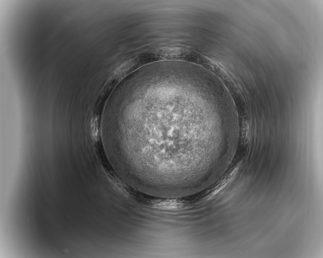X0000094380383200711021230