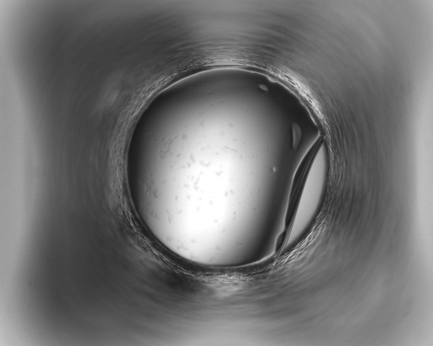 X0000094380385200711021230