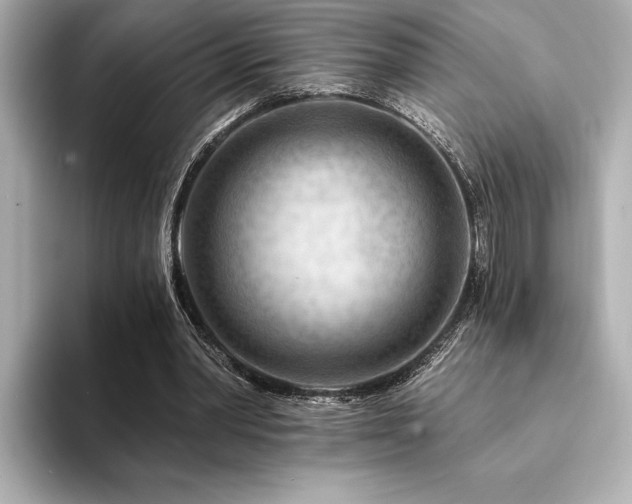 X0000094380390200711021230
