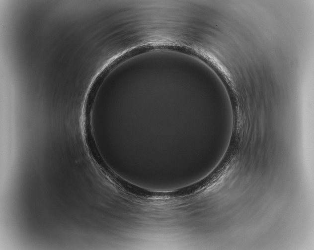 X0000094380391200711021230