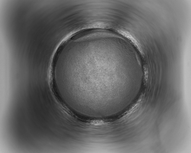 X0000094380392200711021230