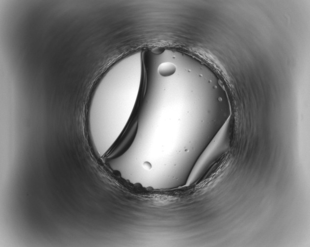 X0000094380393200711021230