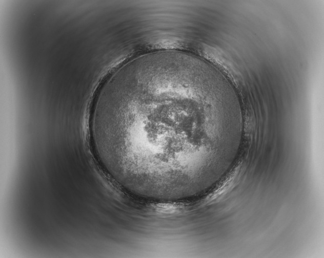 X0000094380394200711021230
