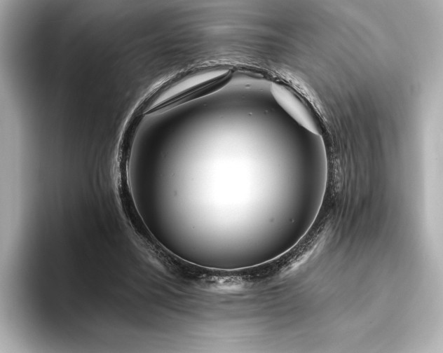 X0000094380395200711021230