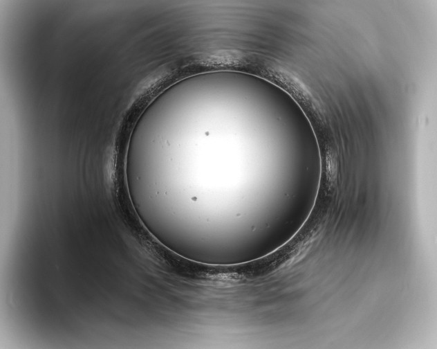 X0000094380396200711021230