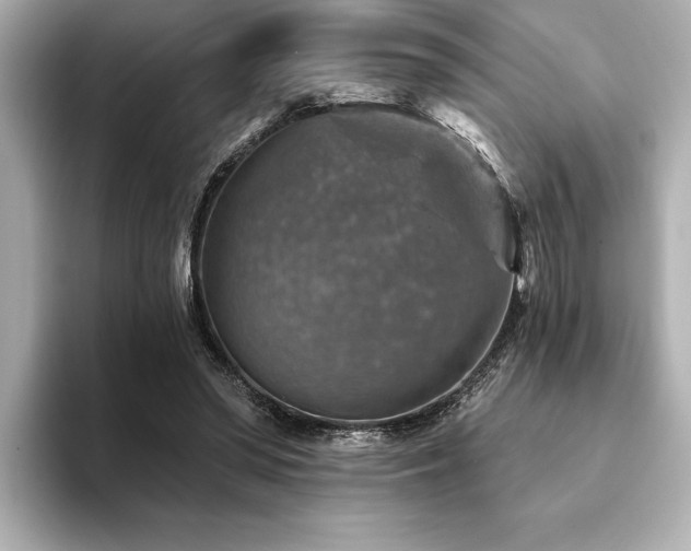 X0000094380398200711021230