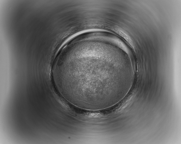 X0000094380401200711021230