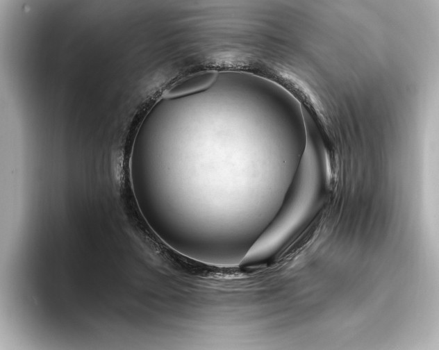 X0000094380403200711021230