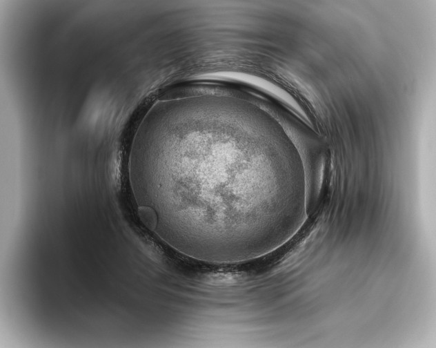 X0000094380404200711021230