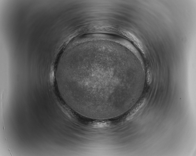 X0000094380405200711021230