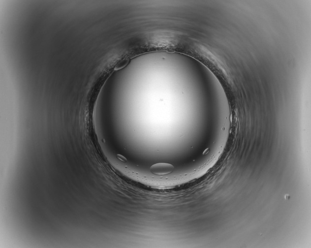 X0000094380407200711021230
