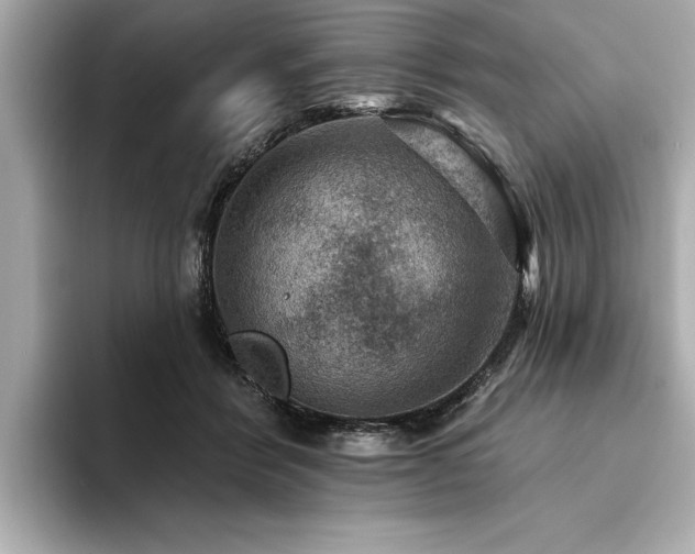 X0000094380412200711021229
