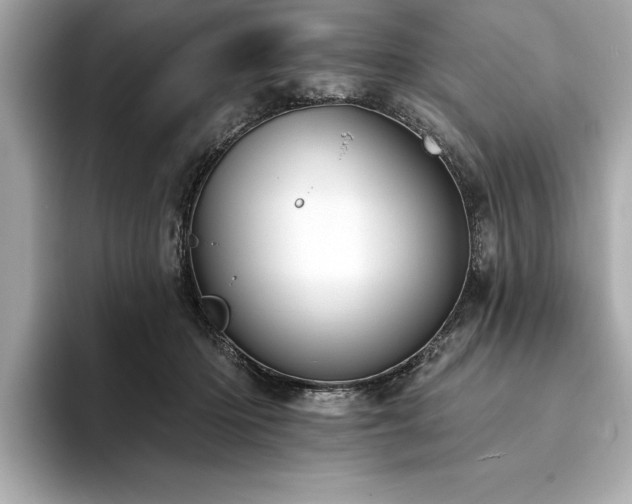 X0000094380414200711021229