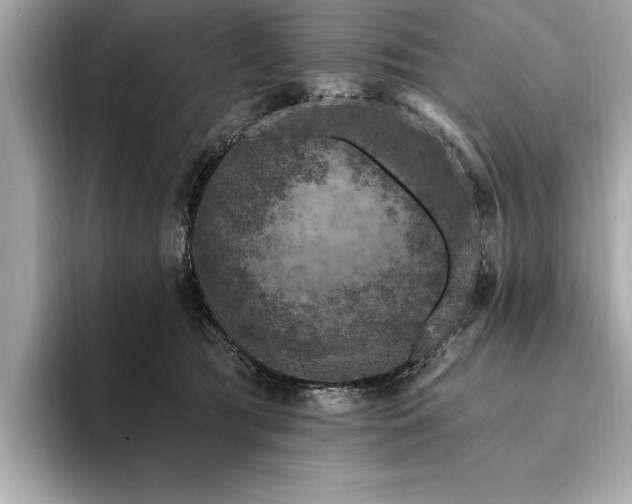 X0000094380417200711021229