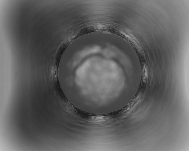 X0000094380419200711021229
