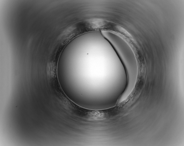 X0000094380421200711021229