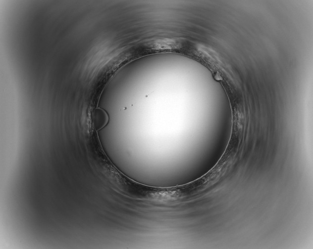 X0000094380422200711021229
