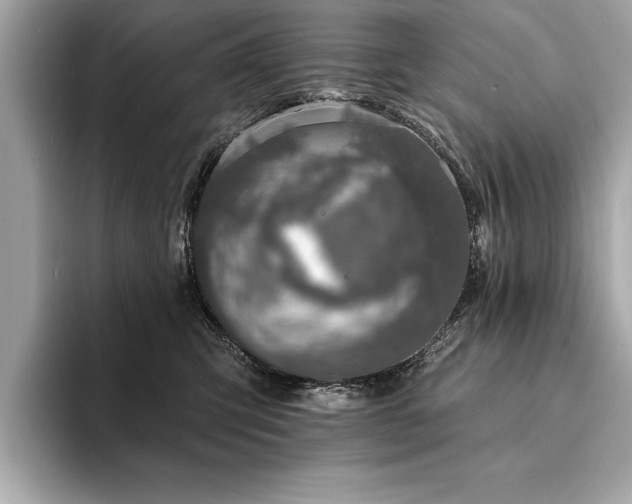 X0000094380423200711021229