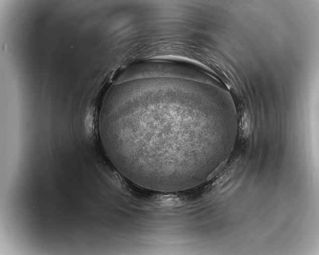 X0000094380424200711021229
