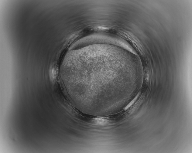 X0000094380425200711021229