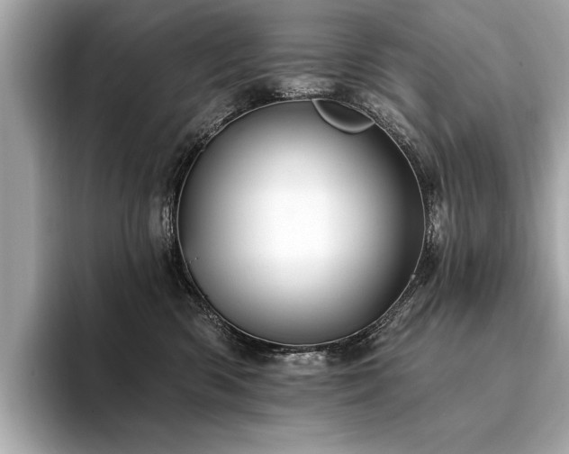 X0000094380426200711021229