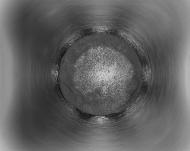 X0000094380427200711021229