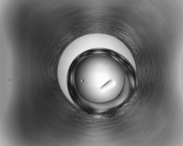 X0000094380428200711021229